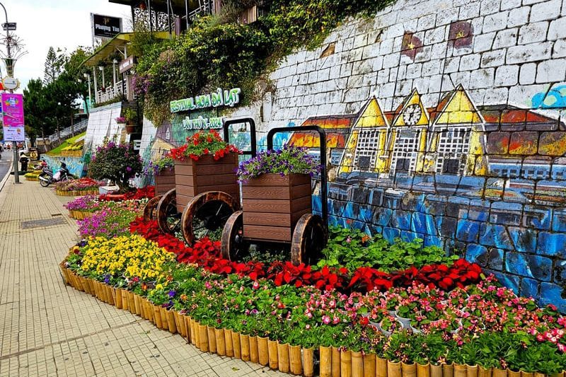 molti spazi pubblici indossano un nuovo abito in occasione del festival dei fiori di da lat (fonte mia)