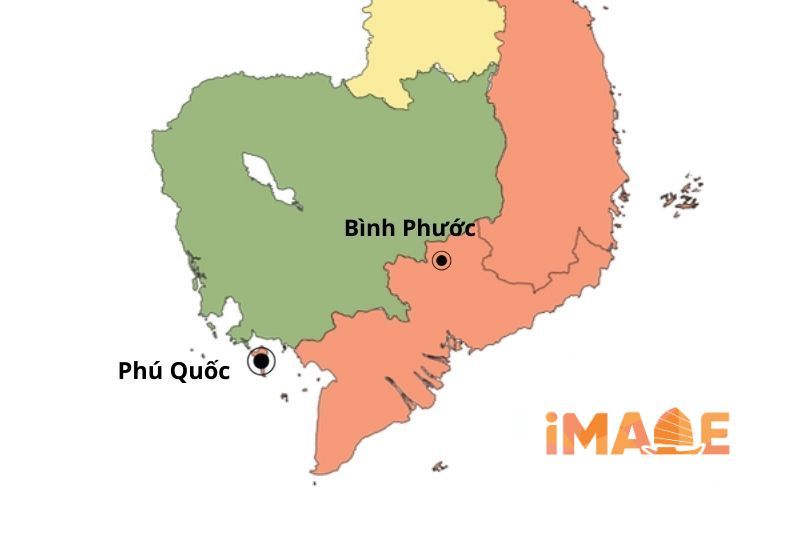 regioni per la coltivazione del pepe in vietnam
