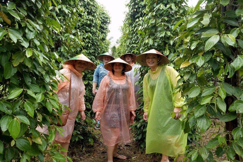 Visitare una piantagione di pepe a Phu Quoc