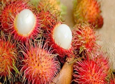 Rambutan. Fonte: laodong.vn