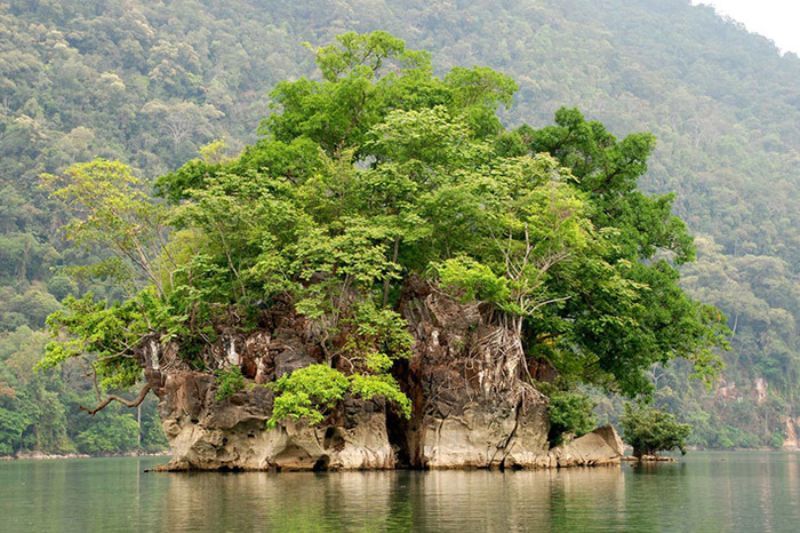 isolotto della vedova si trova al centro del lago pe leng - lago ba be (fonte yong.vn)
