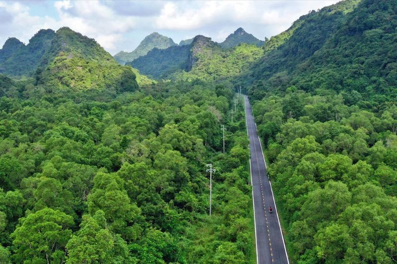 un bellissimo sentiero attraverso la foresta conduce al parco nazionale di cat ba (fonte vietnam.vnanet.vn)