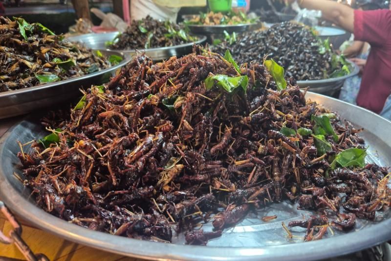 Insetti fritti, croccanti e insolitamente saporiti (Fonte: Hieu Tuyen)