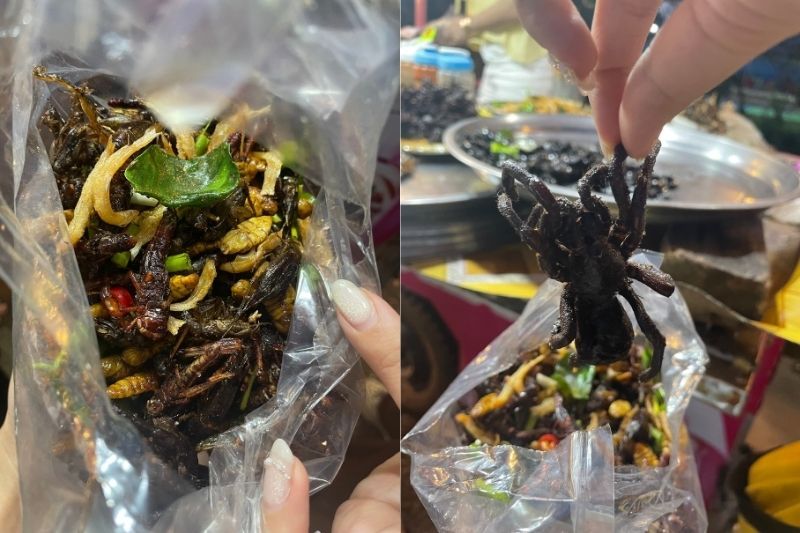 cucina cambogiana specialità a base di insetti