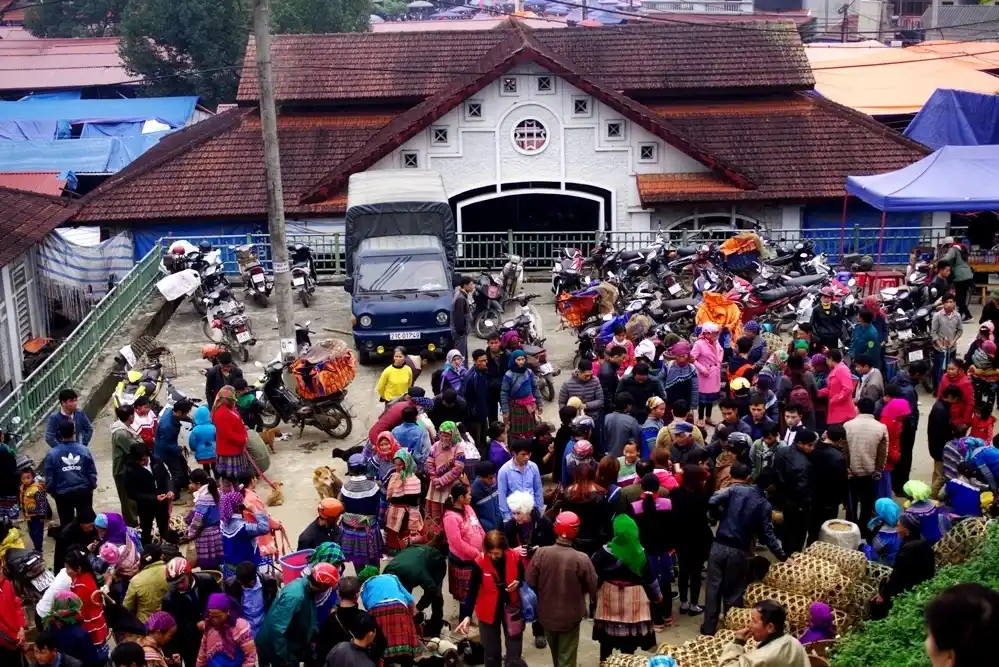 Visita al mercato del bestiame e del pollame (Fonte: vnexpress.net)