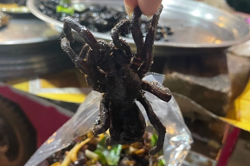 ragni fritti croccanti (fonte: ImageVietnam)