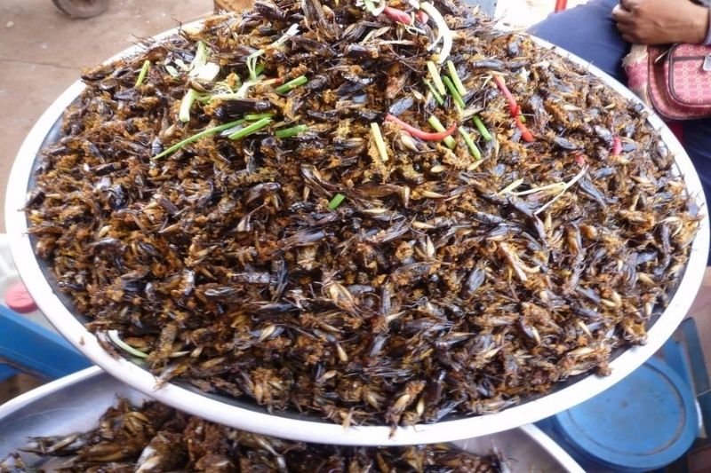 scorpioni fritti croccanti (fonte kienthucdulich.edu.vn)